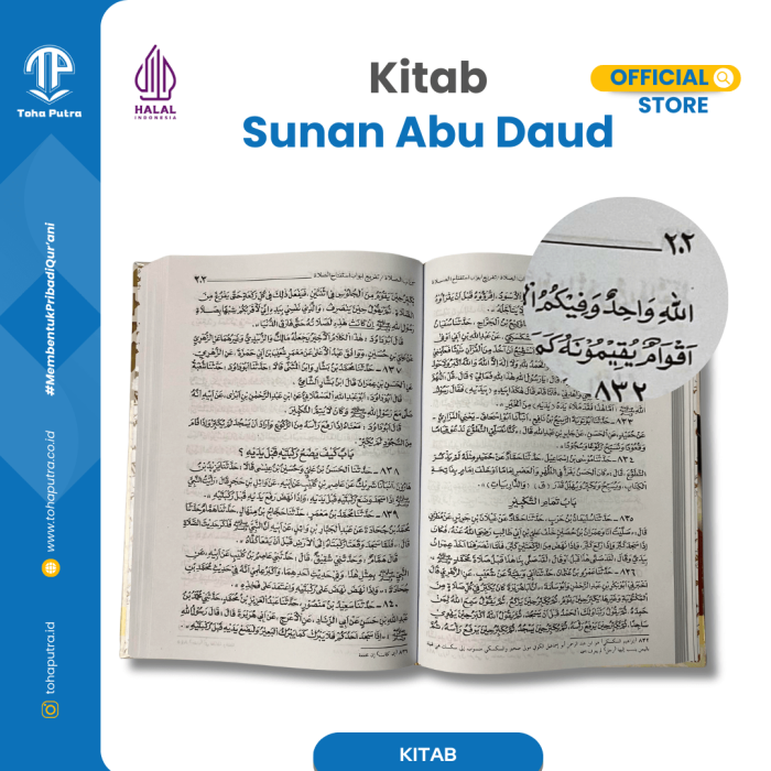 ABU-DAUD-3 ABU-DAUD-3