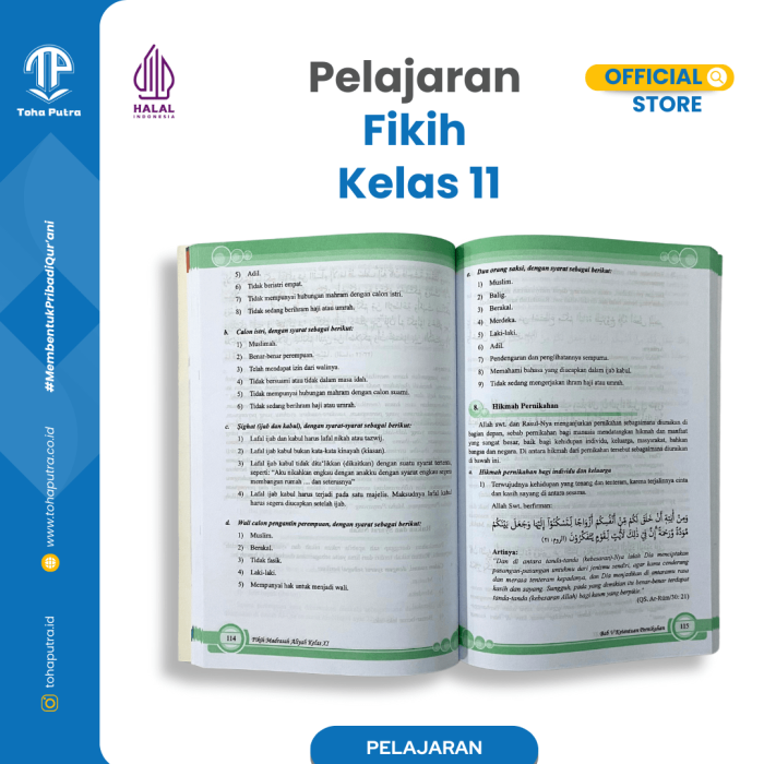 FK-11-3 FK-11-3