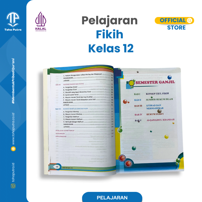 FK-12-6 FK-12-6