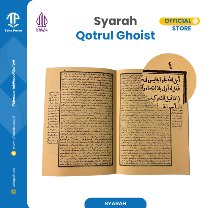 QOTRUL-GHOIST-3 QOTRUL-GHOIST-3