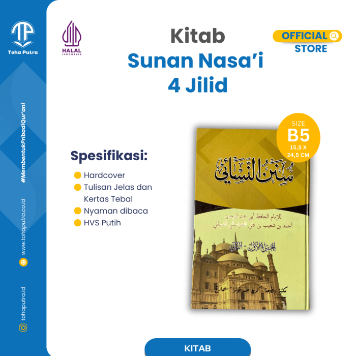 S-NASAI-2 S-NASAI-2