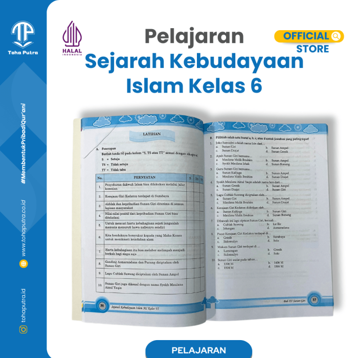 SKI-6-3 SKI-6-3