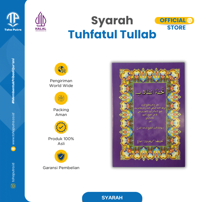 T-TULLAB-1