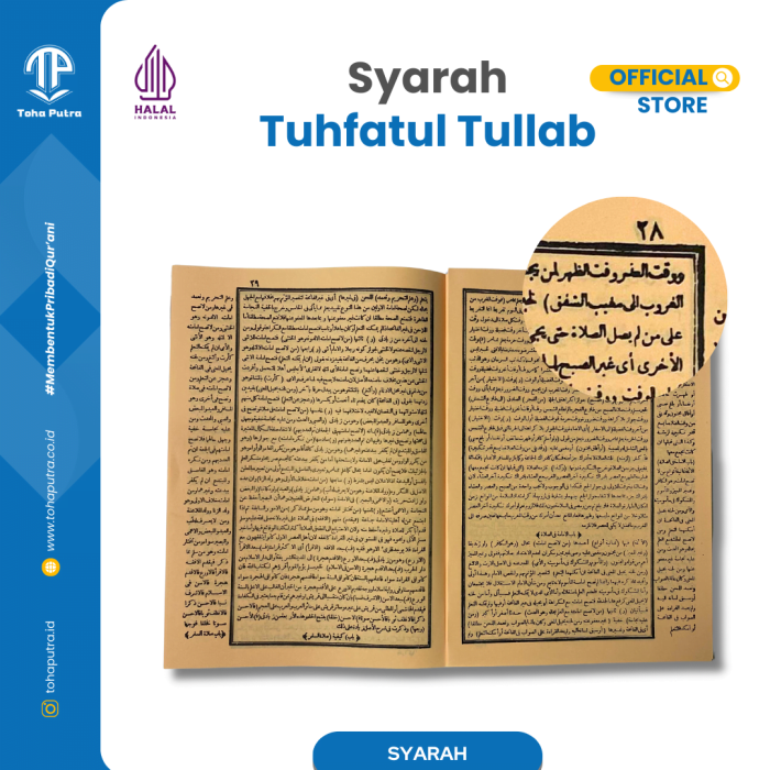 T-TULLAB-3-1 T-TULLAB-3-1