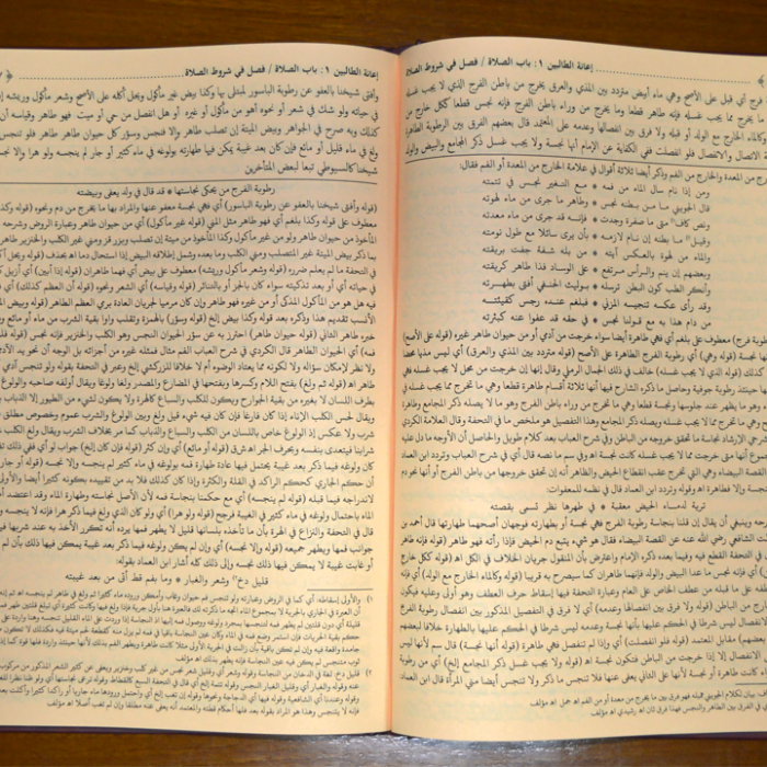 bagian-dalam-kitab-ianatut-thalibin-tohaputra-2